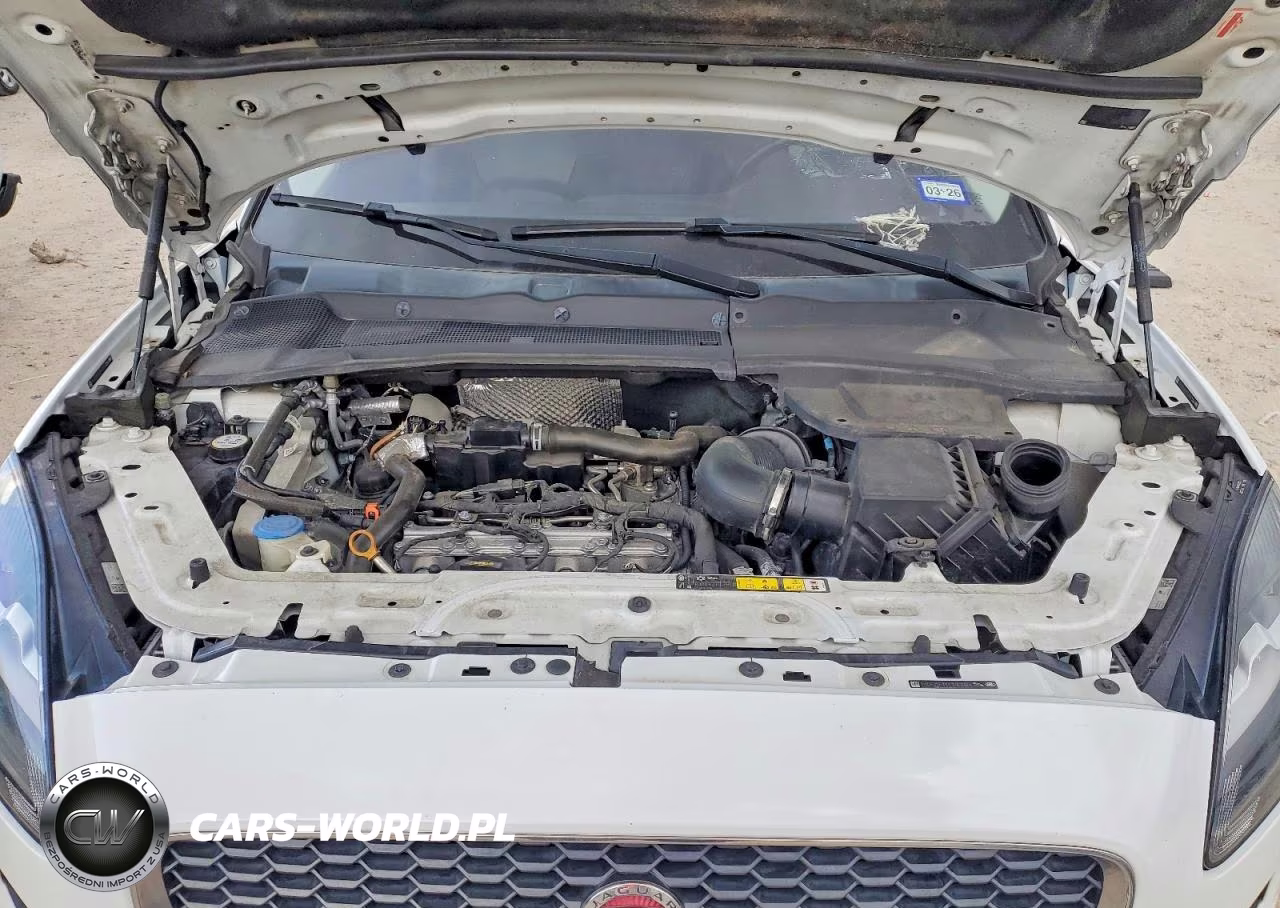 2019 Jaguar E-Pace S VIN:SADFJ2FX9K1Z62984 - 12