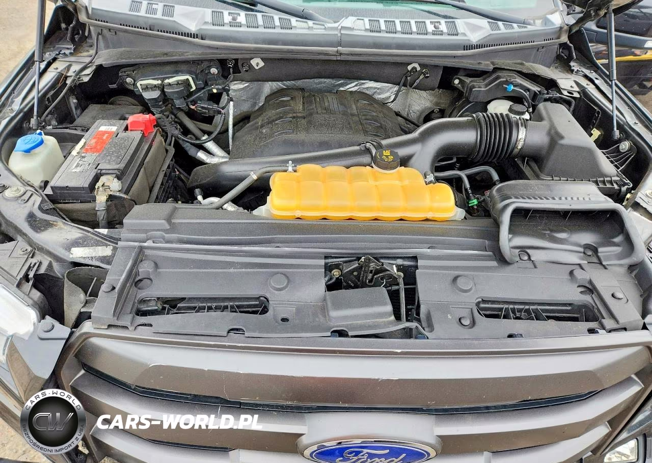 2015 Ford F150 Supercrew VIN:1FTEW1EGXFKE55905 - 11