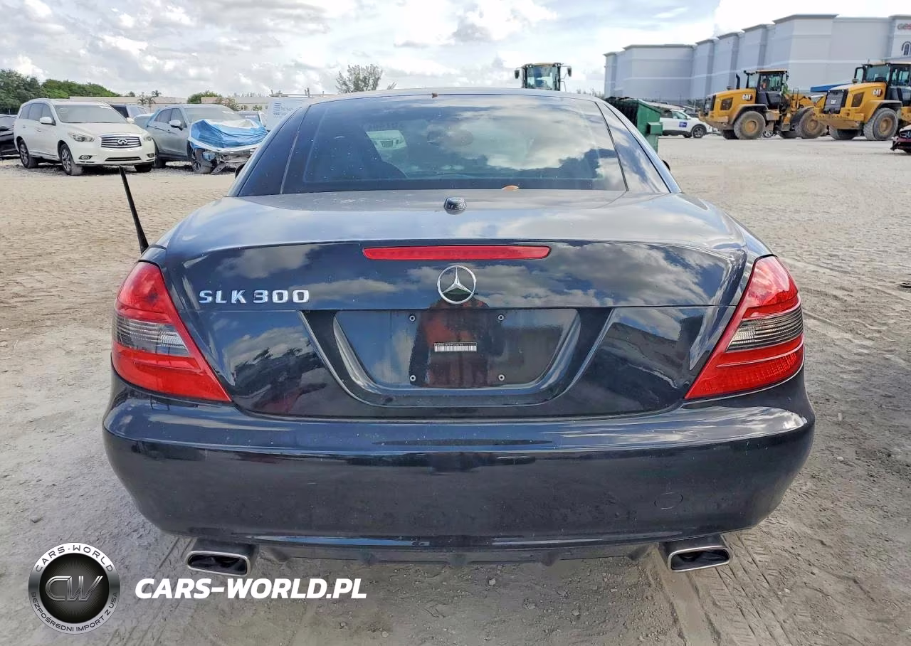 2009 Mercedes-Benz Slk 300 VIN:WDBWK54F99F208788 - 6
