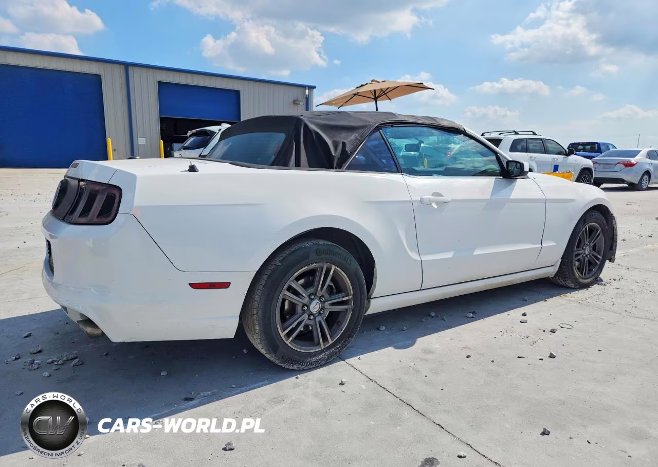 2013 Ford Mustang VIN:1ZVBP8EM8D5202864 - 3