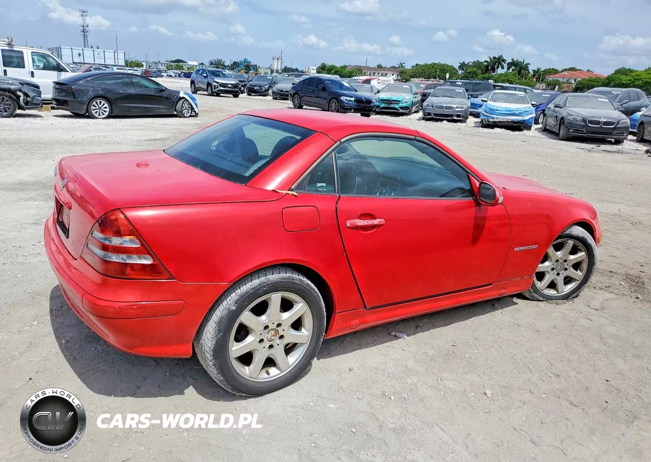 2004 Mercedes-Benz Slk 230 Kompressor VIN:WDBKK49F54F305447 - 3