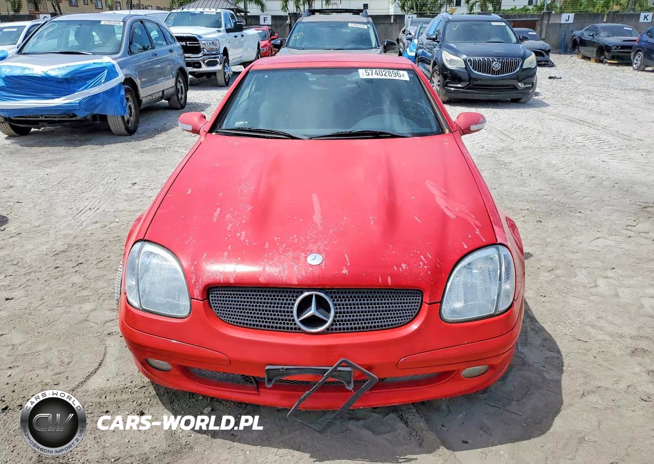 2004 Mercedes-Benz Slk 230 Kompressor VIN:WDBKK49F54F305447 - 5