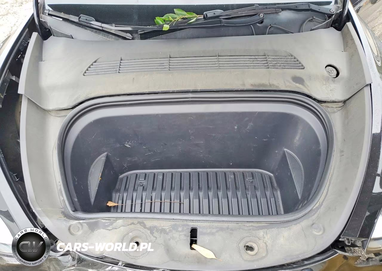 2023 Tesla Model Y VIN:7SAYGDEE1PA096422 - 12