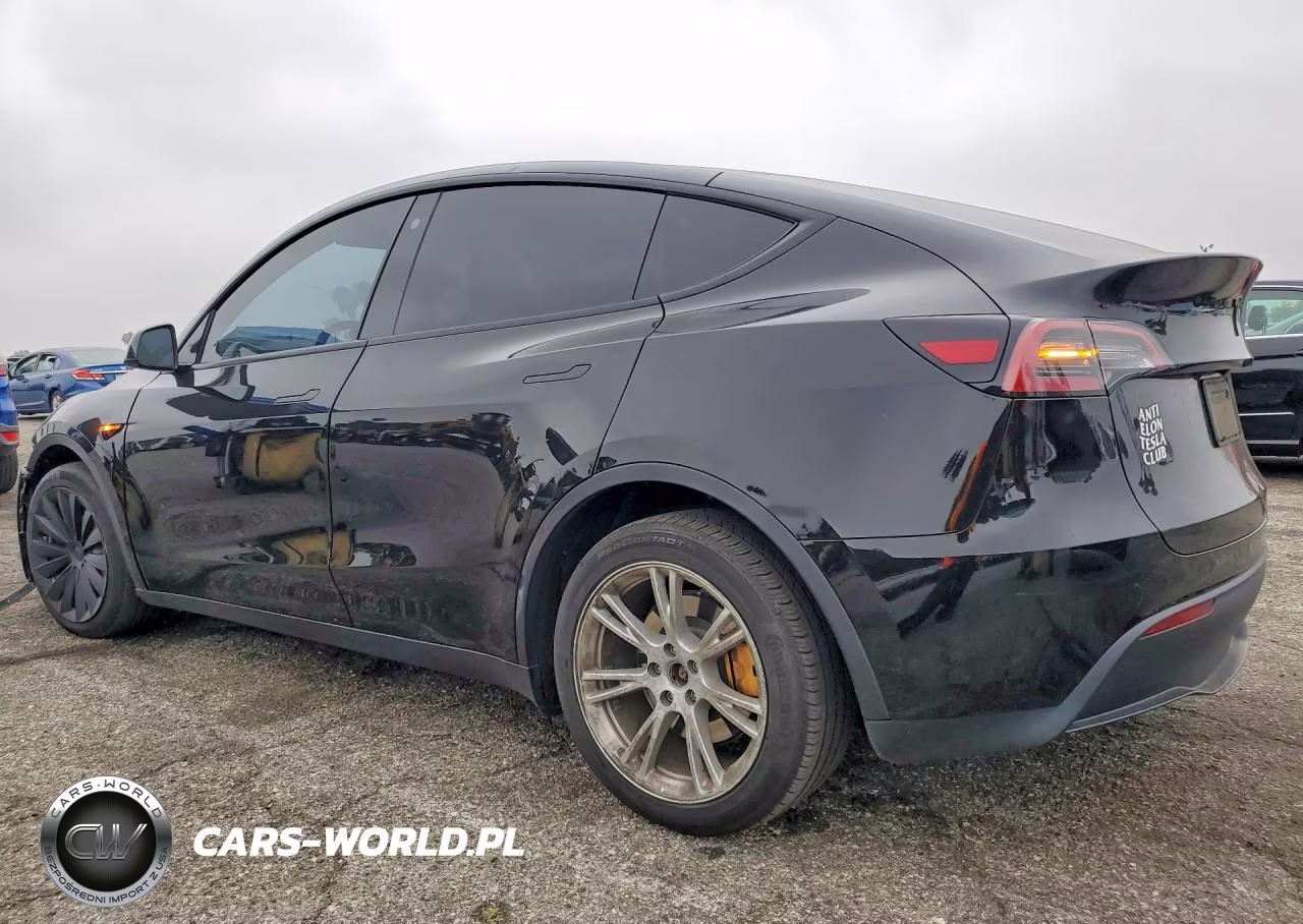 2023 Tesla Model Y VIN:7SAYGDEE1PA096422 - 2