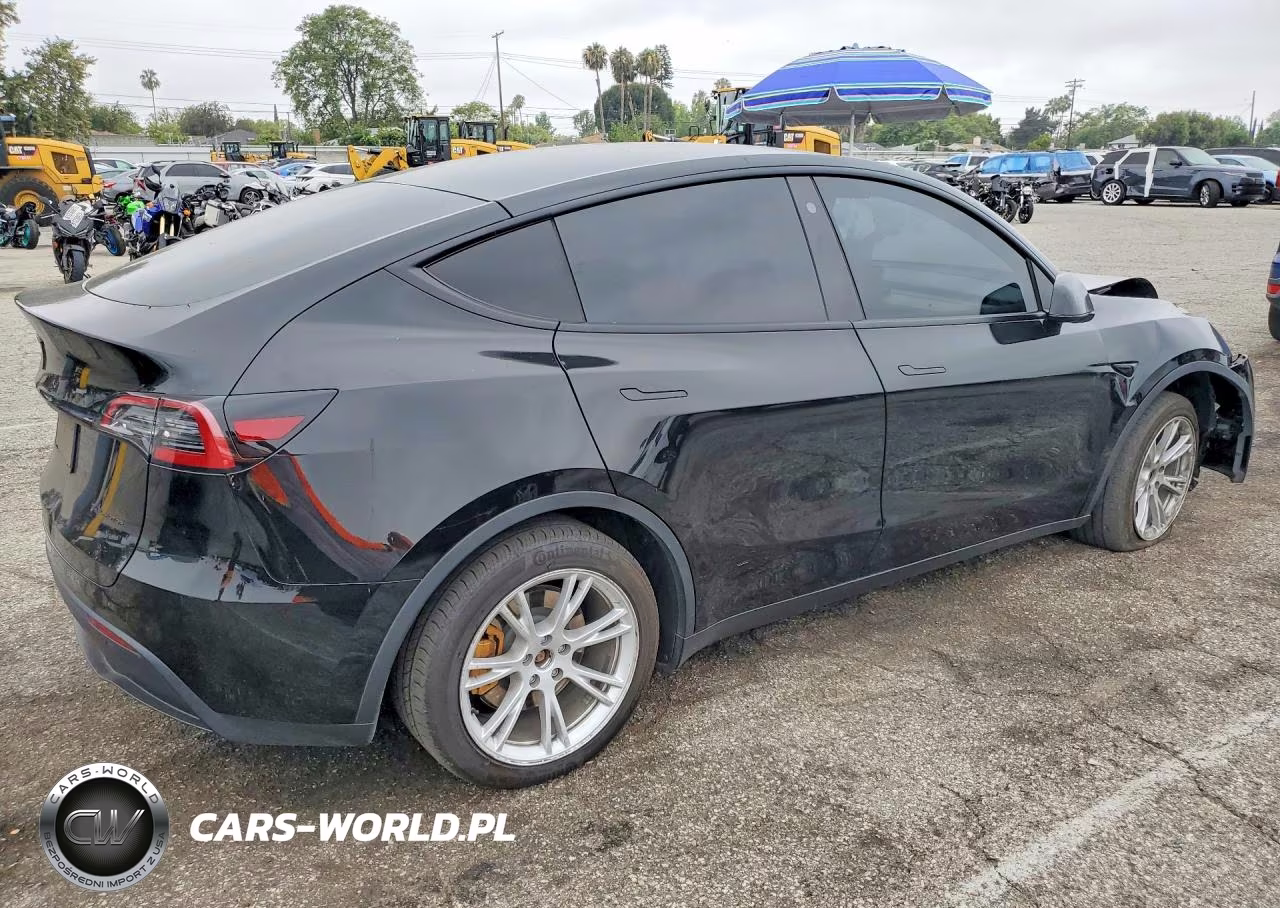2023 Tesla Model Y VIN:7SAYGDEE1PA096422 - 3