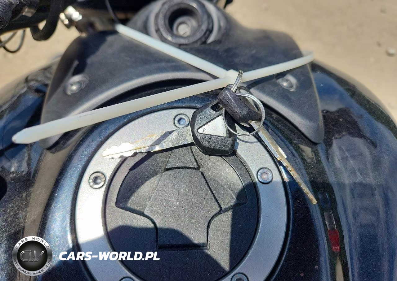 2020 Kawasaki En650 D VIN:JKAENED17LDA23132 - 8