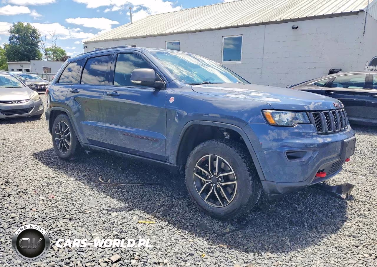 2021 Jeep Grand Cherokee Trailhawk VIN:1C4RJFLG0MC769361 - 4