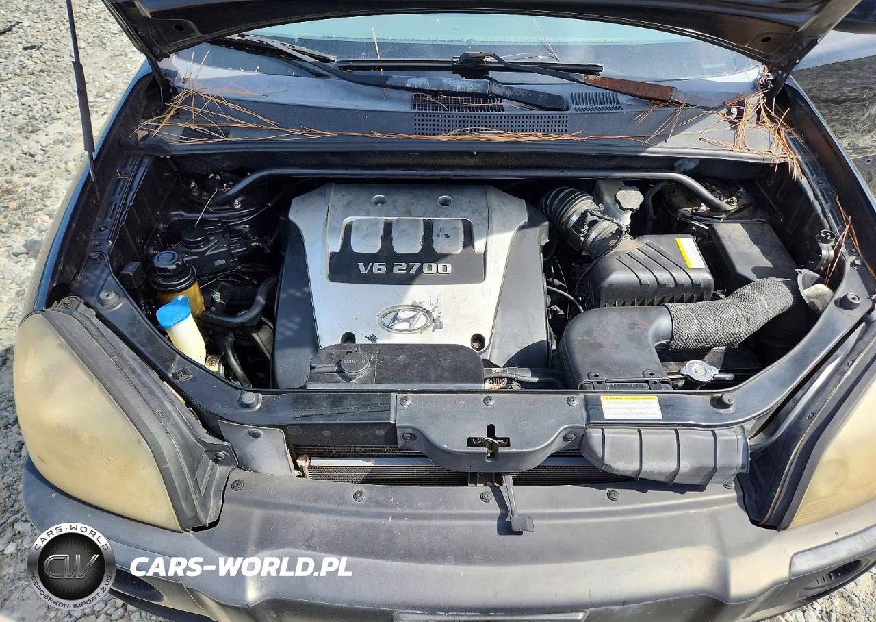 2005 Hyundai Tucson Gls VIN:KM8JN12D55U209712 - 12