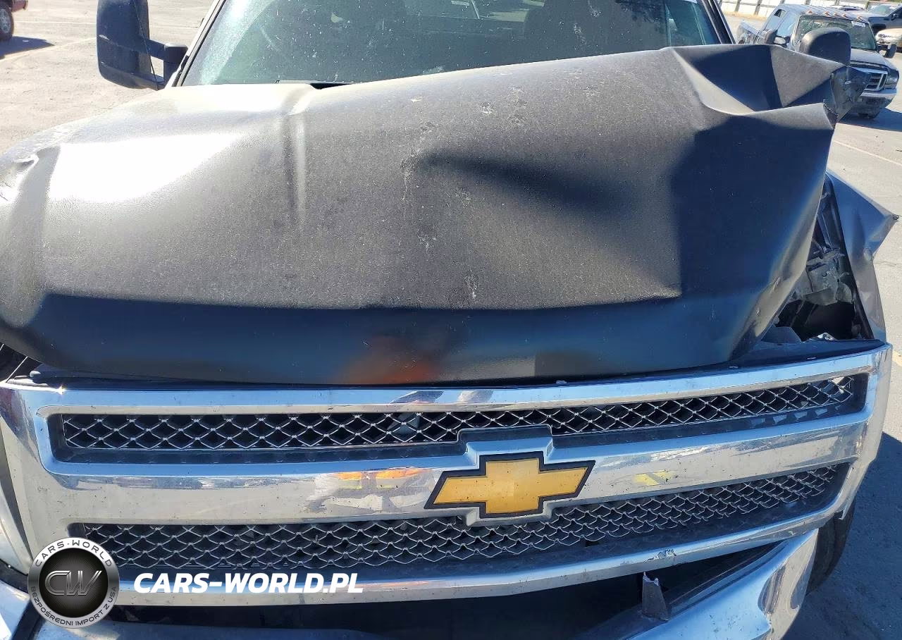 2013 Chevrolet Silverado C1500 Lt VIN:1GCRCSE00DZ170802 - 11