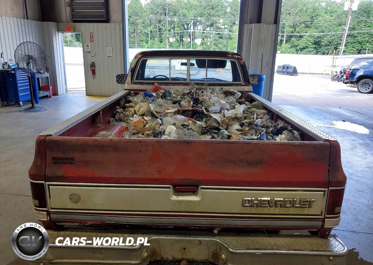 1985 Chevrolet C10 VIN:1GCDC14H5FJ122127 - 11