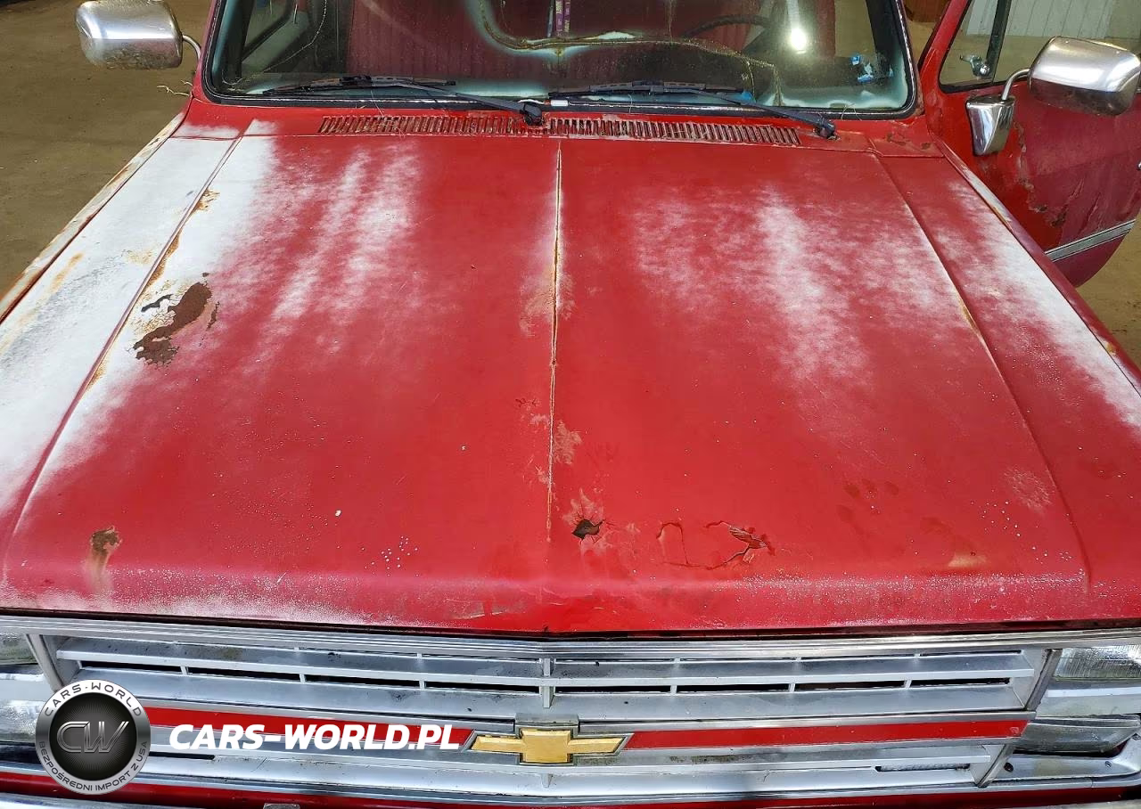 1985 Chevrolet C10 VIN:1GCDC14H5FJ122127 - 12
