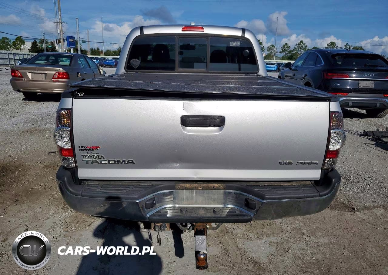 2010 Toyota Tacoma Double Cab VIN:5TELU4EN3AZ713912 - 6