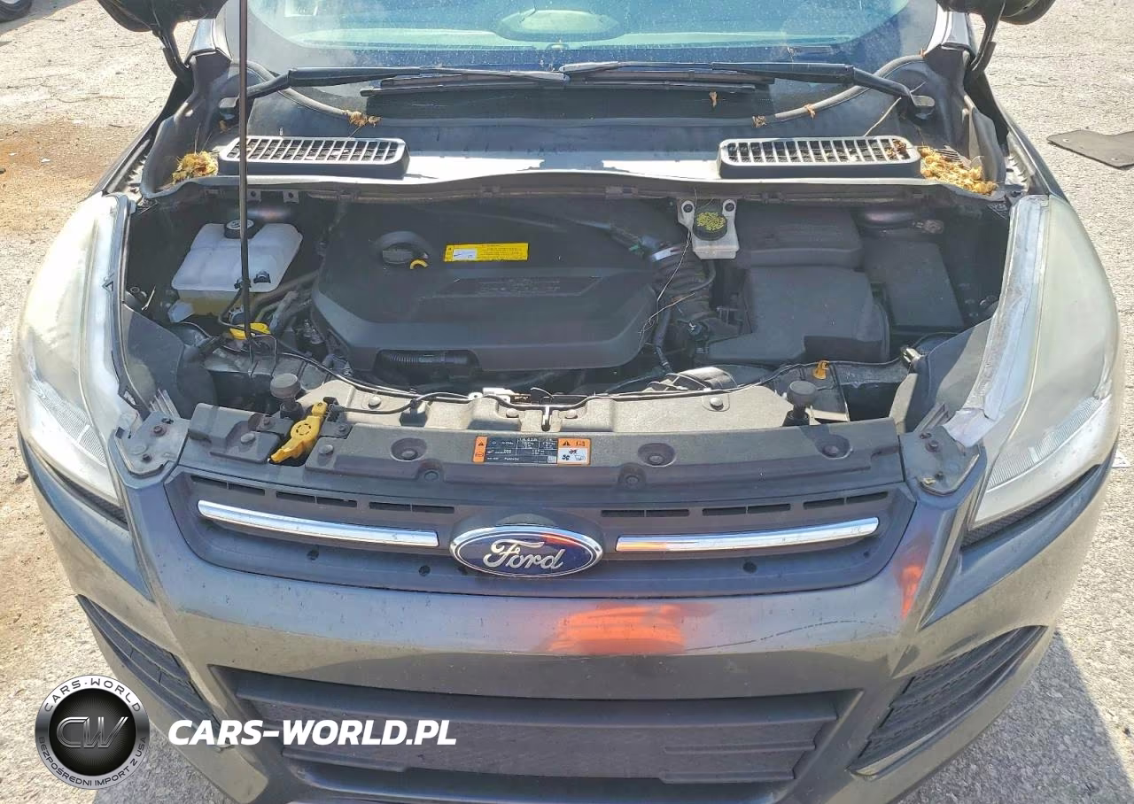 2015 Ford Escape Se VIN:1FMCU0GX5FUB36271 - 11