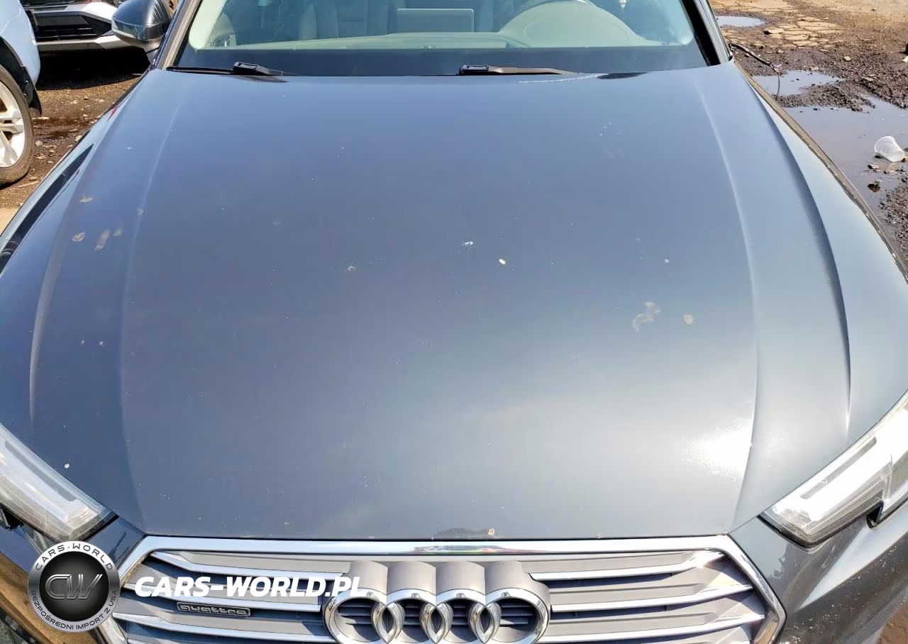 2017 Audi A4 Premium Plus VIN:WAUENAF4XHN014314 - 11