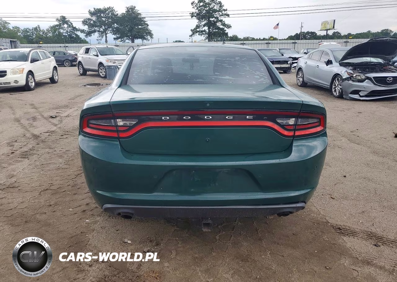 2015 Dodge Charger Police VIN:2C3CDXKT0FH841553 - 6