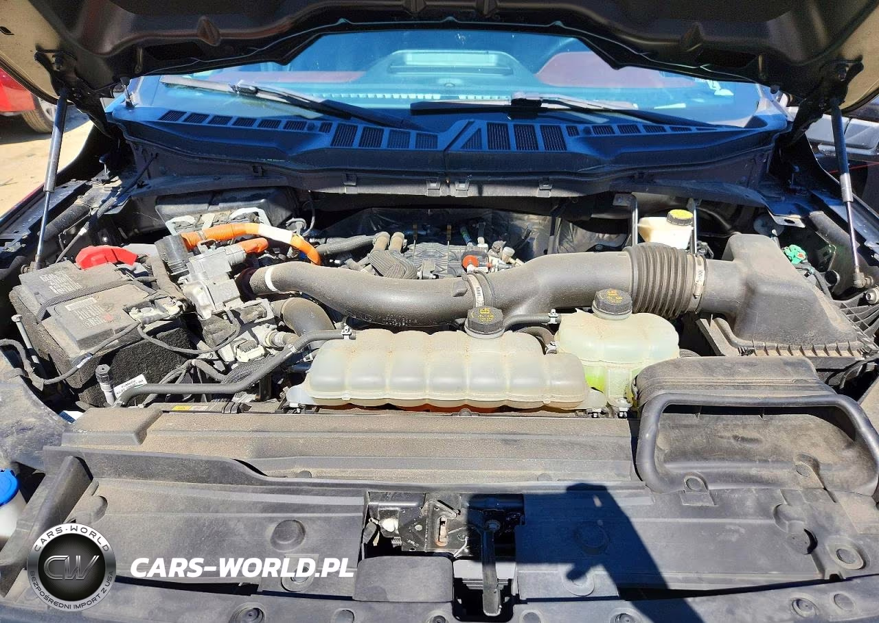 2021 Ford F150 Supercrew VIN:1FTFW1ED0MFA65315 - 11