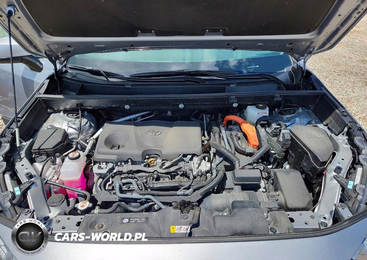 2025 Toyota Rav4 Hybrid Xle VIN:4T3RWRFV8SU178069 - 12