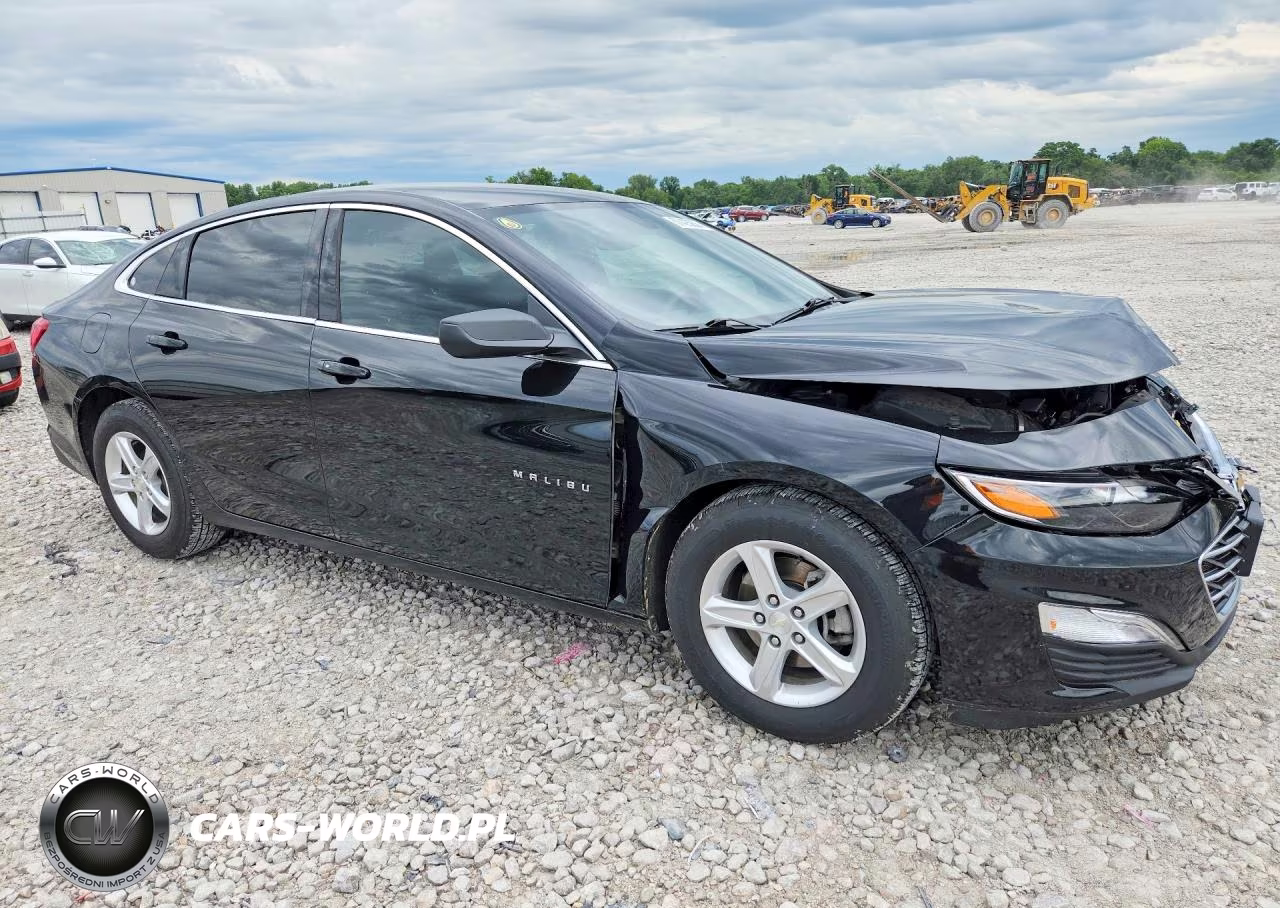 2019 Chevrolet Malibu Ls VIN:1G1ZB5ST2KF216530 - 4