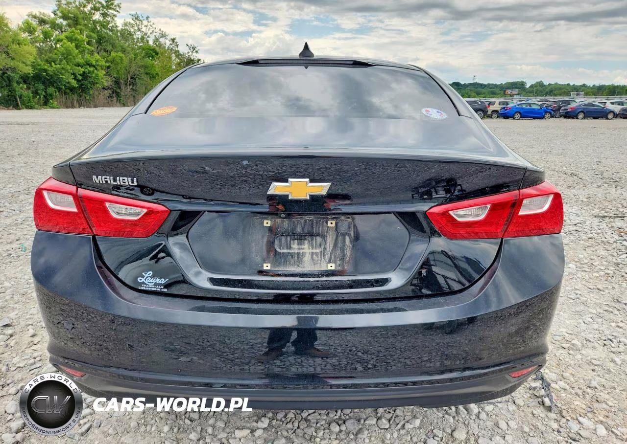 2019 Chevrolet Malibu Ls VIN:1G1ZB5ST2KF216530 - 6