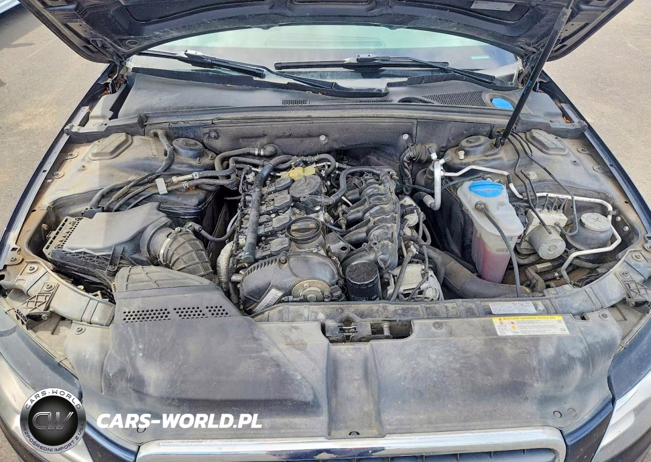 2011 Audi A4 Premium Plus VIN:WAUWFAFL1BA114891 - 11
