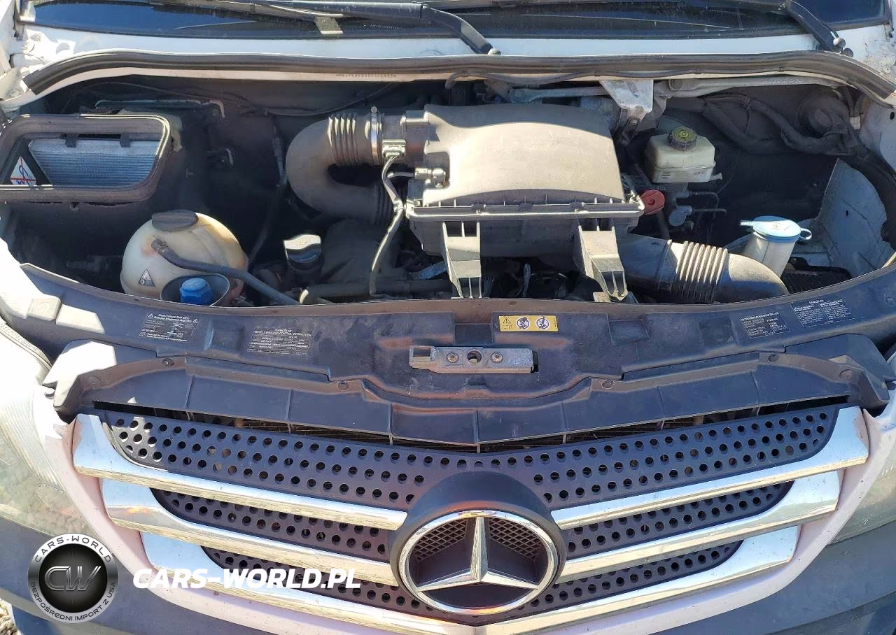 2016 Mercedes-Benz Sprinter 2500 VIN:WD3PE8CD2GP177402 - 12