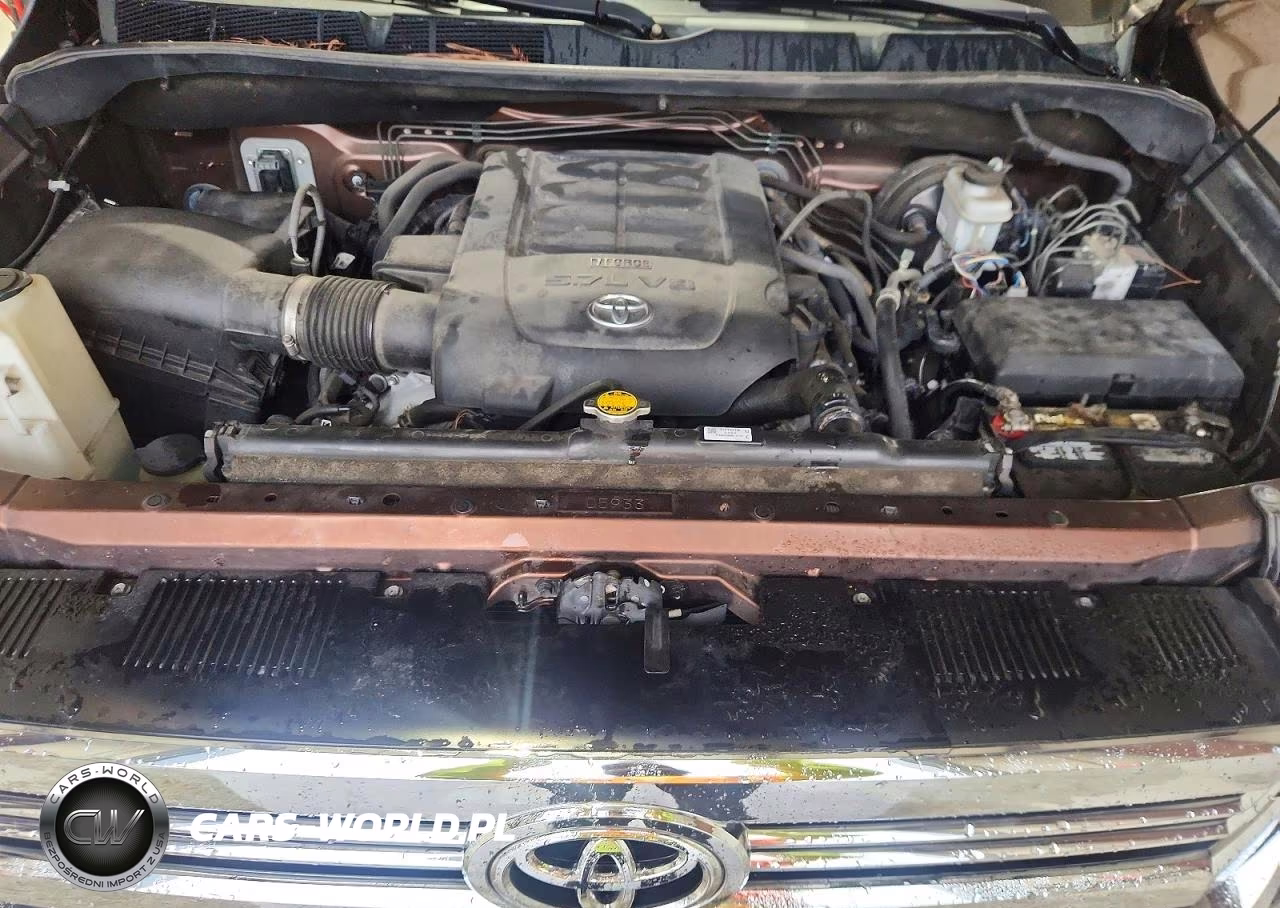 2017 Toyota Tundra 1794 Edition VIN:5TFGW5F18HX227594 - 11