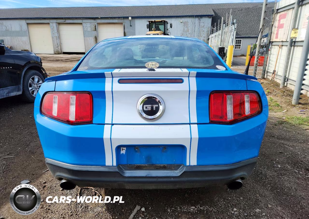 2010 Ford Mustang Gt VIN:1ZVBP8CH9A5160948 - 6