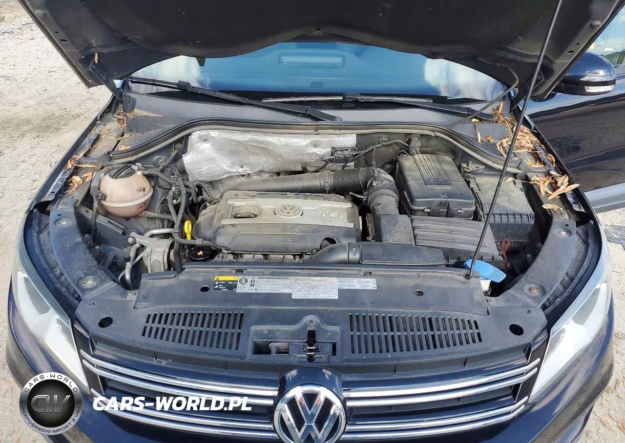 2014 Volkswagen Tiguan S VIN:WVGCV3AX4EW594491 - 12