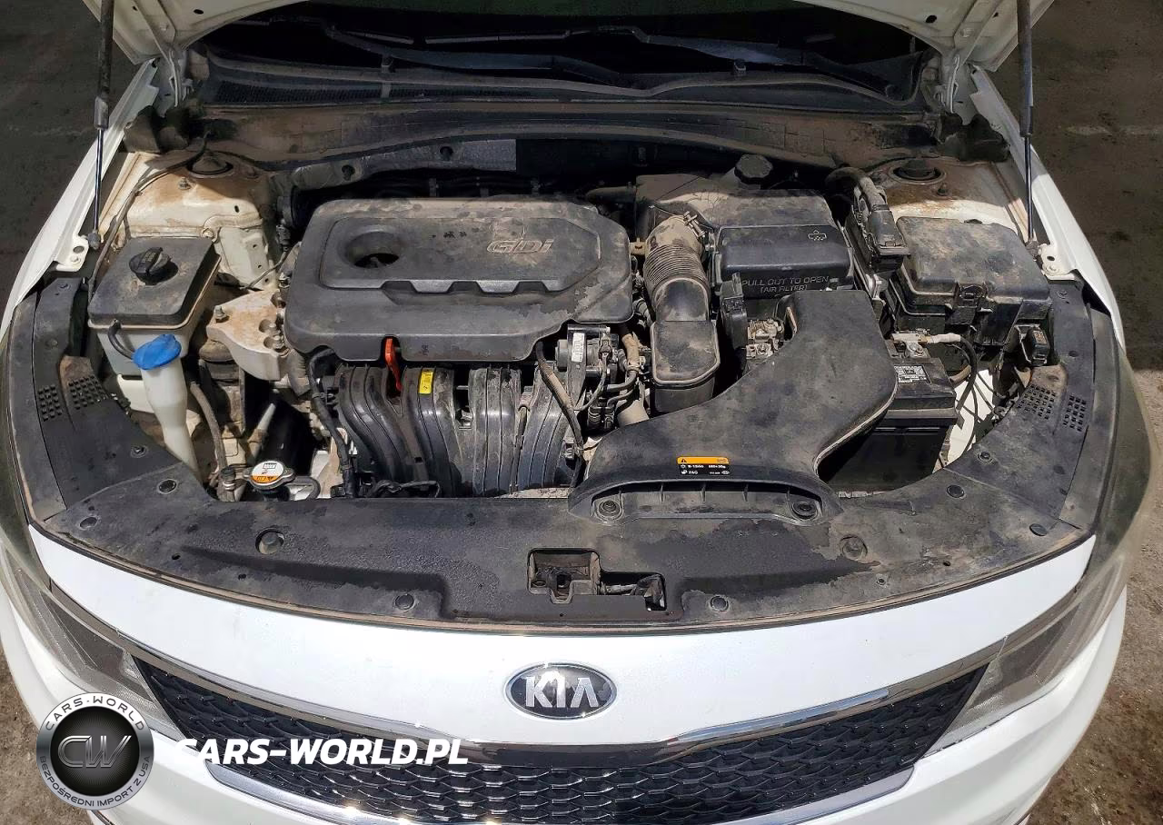 2016 Kia Optima Lx VIN:KNAGT4L3XG5072983 - 11
