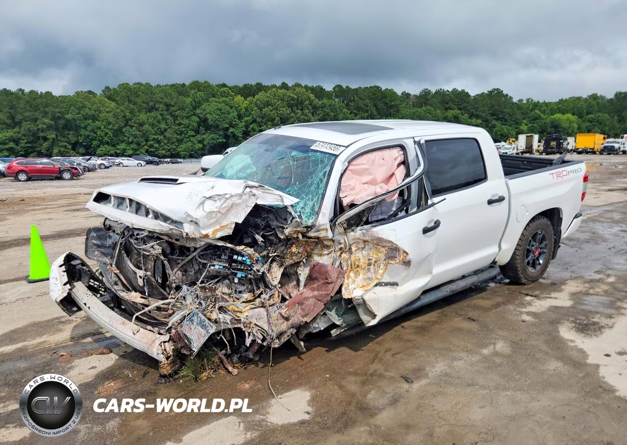 2019 Toyota Tundra Trd Pro