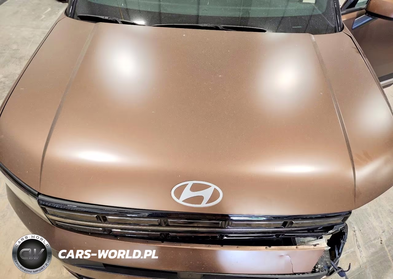 2024 Hyundai Santa Fe Limited VIN:5NMP4DGL8RH017491 - 12