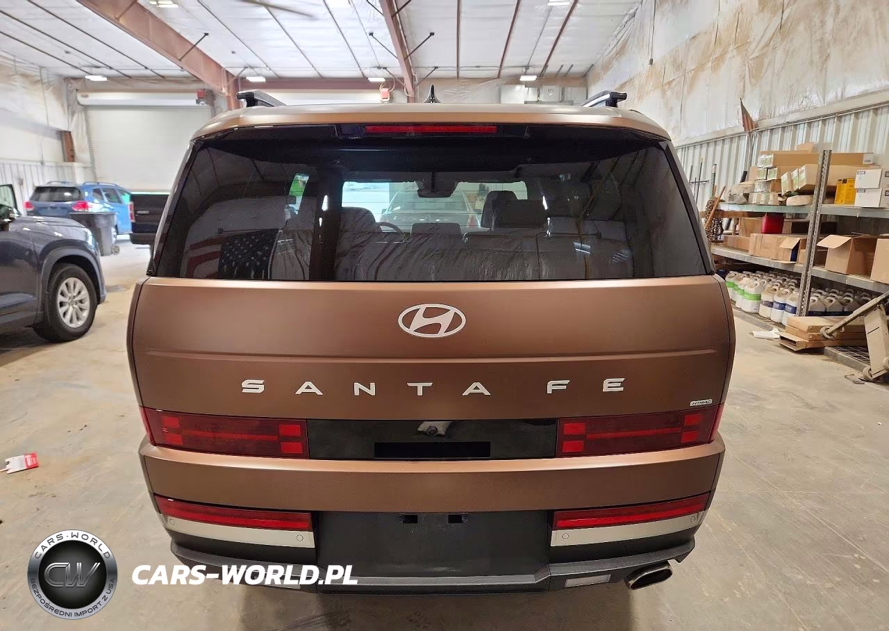 2024 Hyundai Santa Fe Limited VIN:5NMP4DGL8RH017491 - 6
