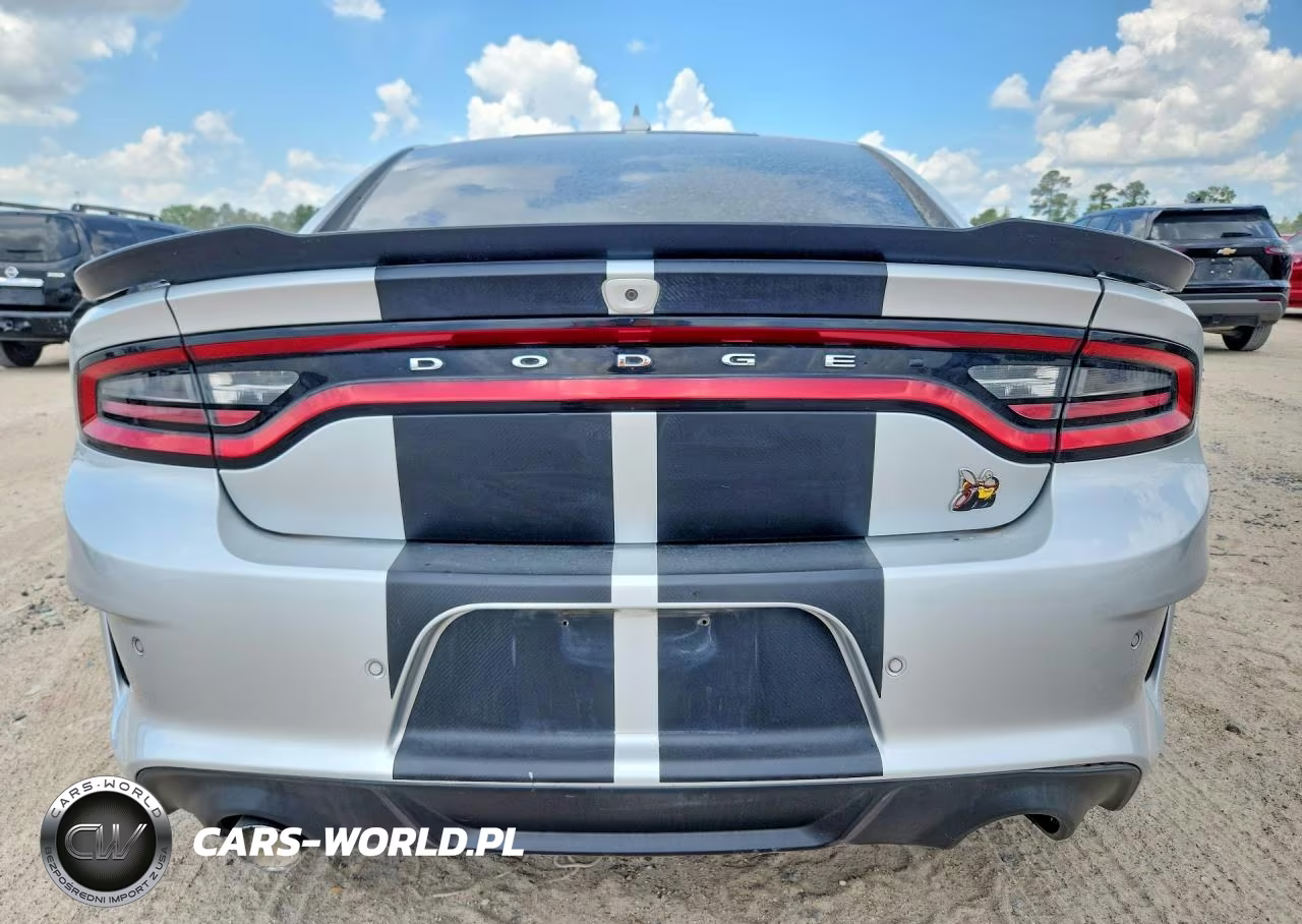 2020 Dodge Charger VIN:2C3CDXGJ9LH151755 - 6