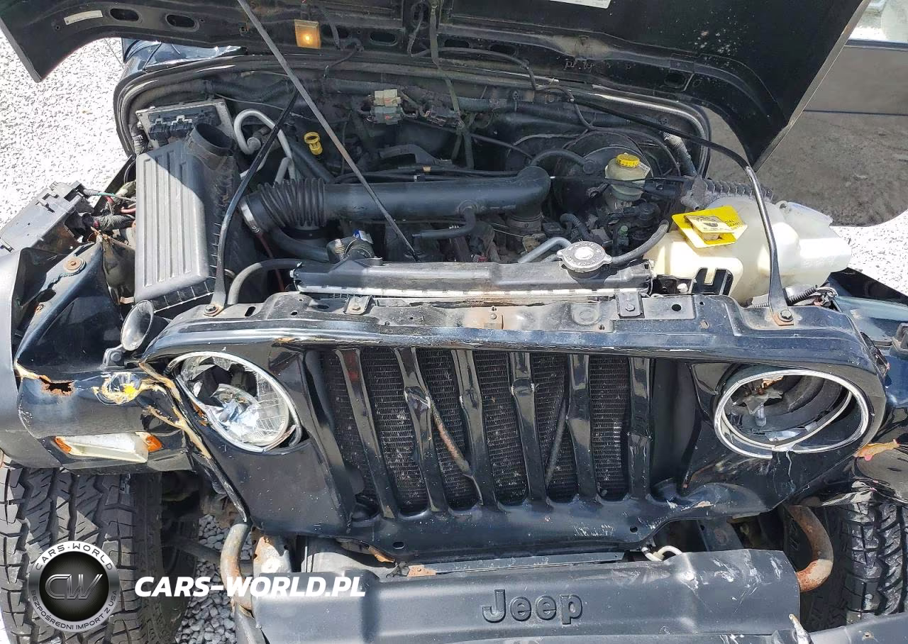 2003 Jeep Wrangler - Tj Sport VIN:1J4FA49S63P309626 - 11