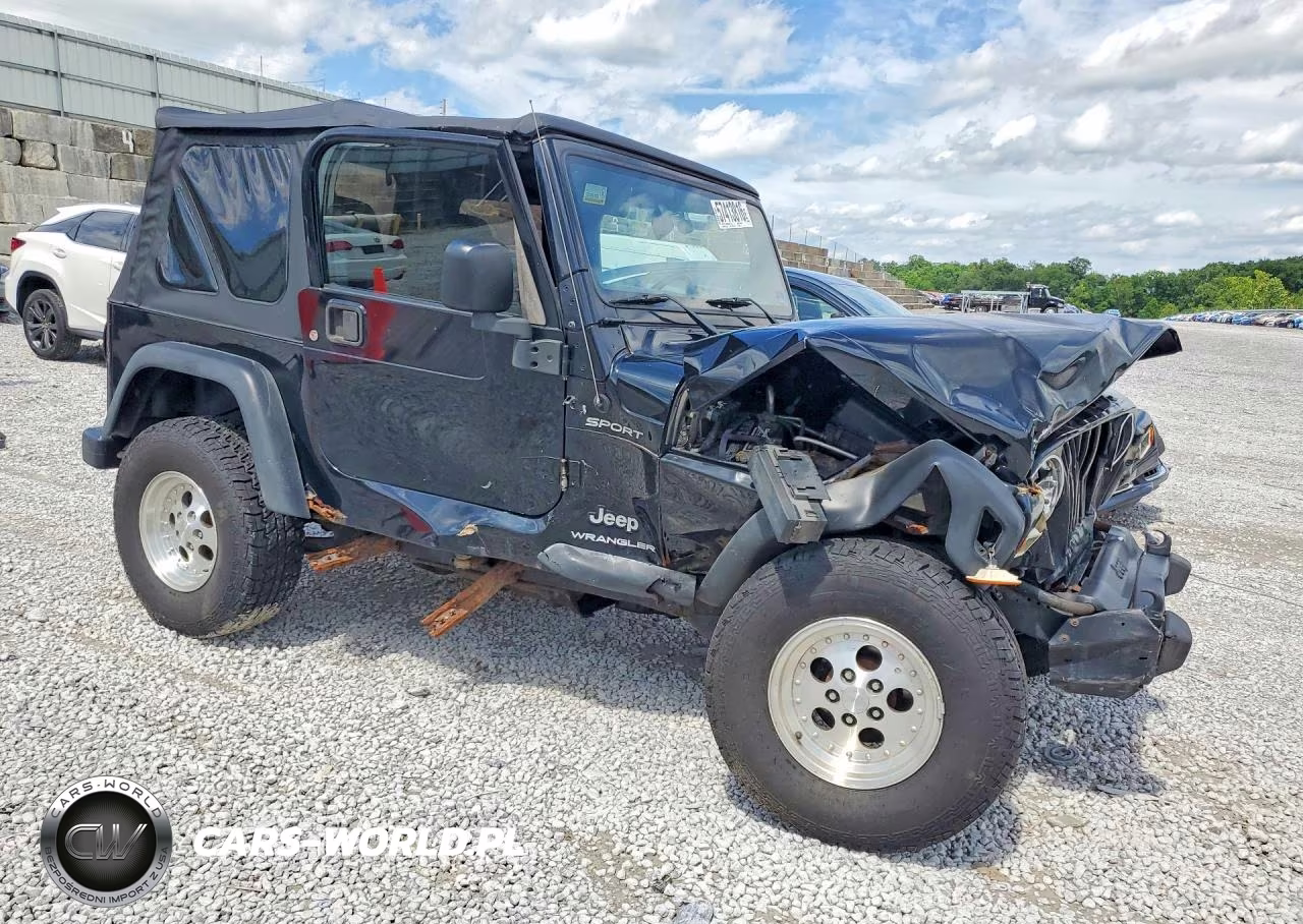2003 Jeep Wrangler - Tj Sport VIN:1J4FA49S63P309626 - 4