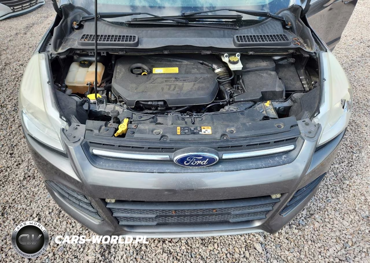 2014 Ford Escape VIN:1FMCU0GX3EUD07128 - 12