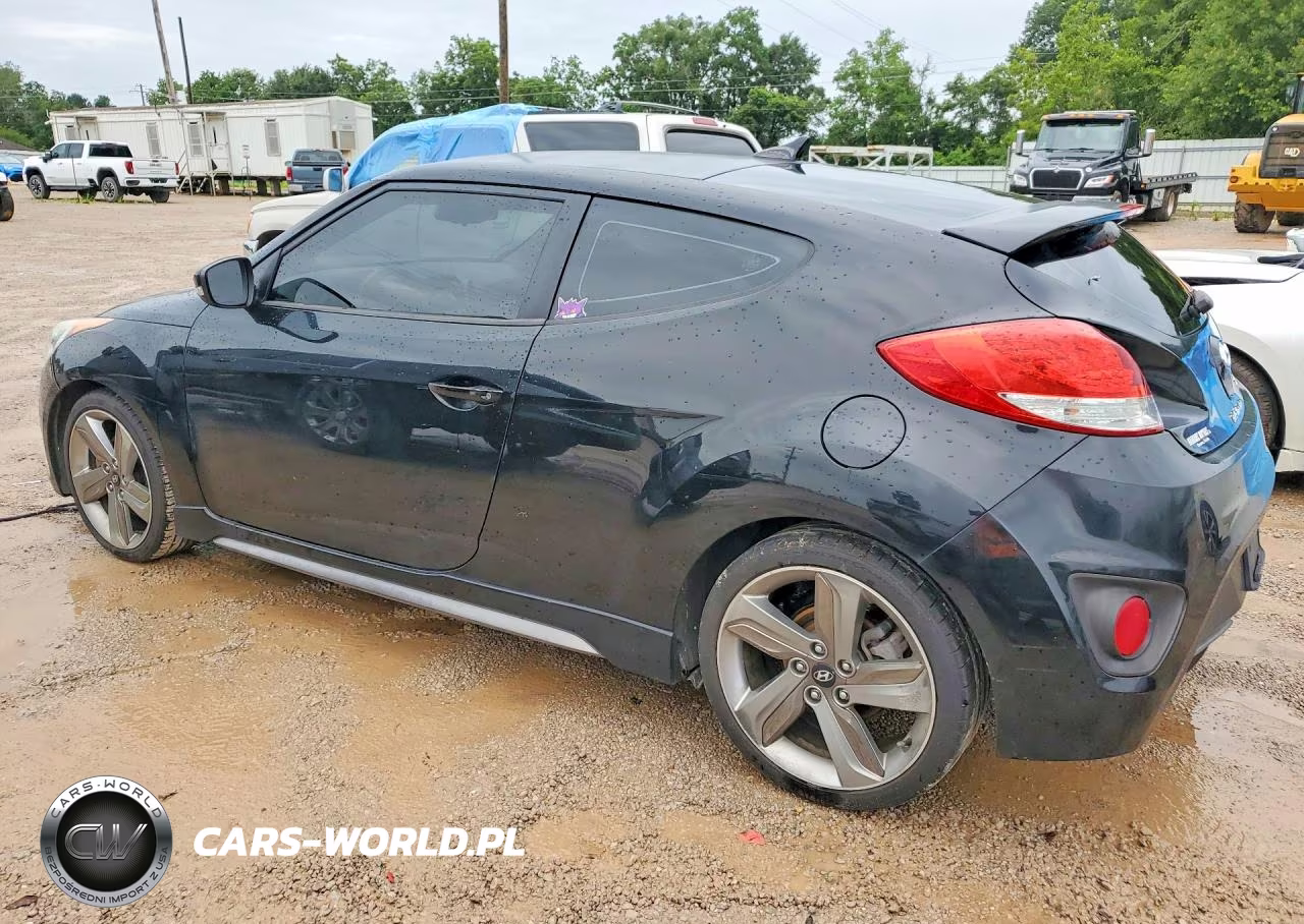2013 Hyundai Veloster Turbo VIN:KMHTC6AEXDU154145 - 2