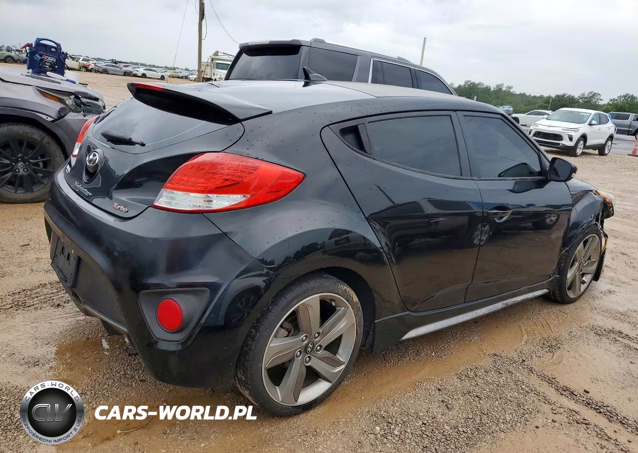 2013 Hyundai Veloster Turbo VIN:KMHTC6AEXDU154145 - 3