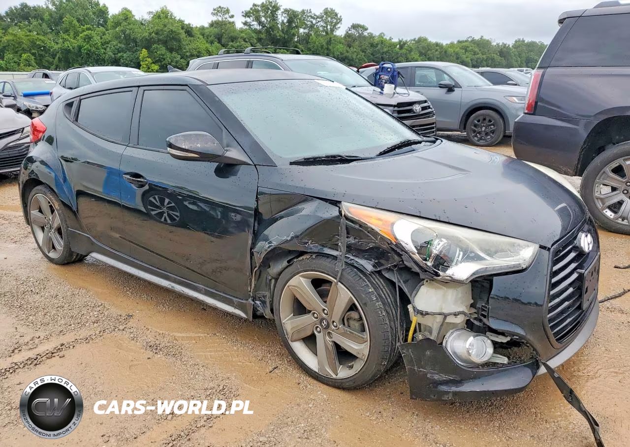 2013 Hyundai Veloster Turbo VIN:KMHTC6AEXDU154145 - 4