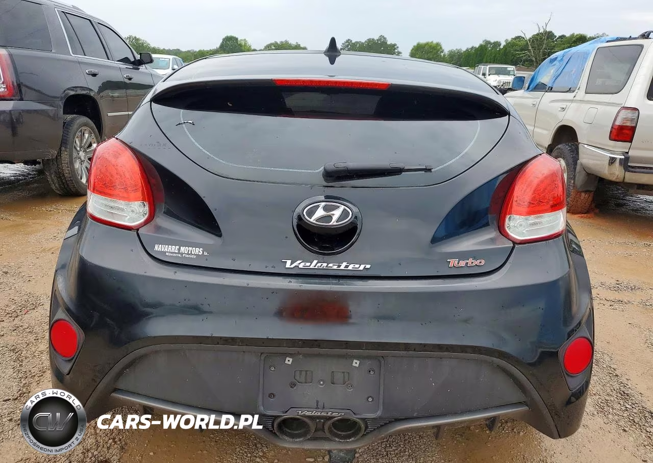 2013 Hyundai Veloster Turbo VIN:KMHTC6AEXDU154145 - 6