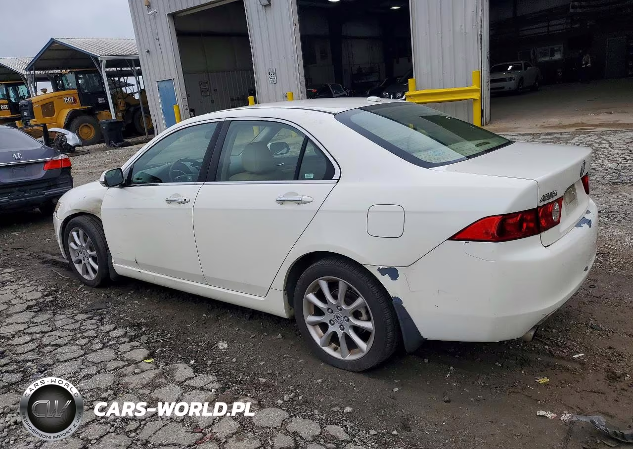 2005 Acura Tsx VIN:JH4CL96895C010486 - 2