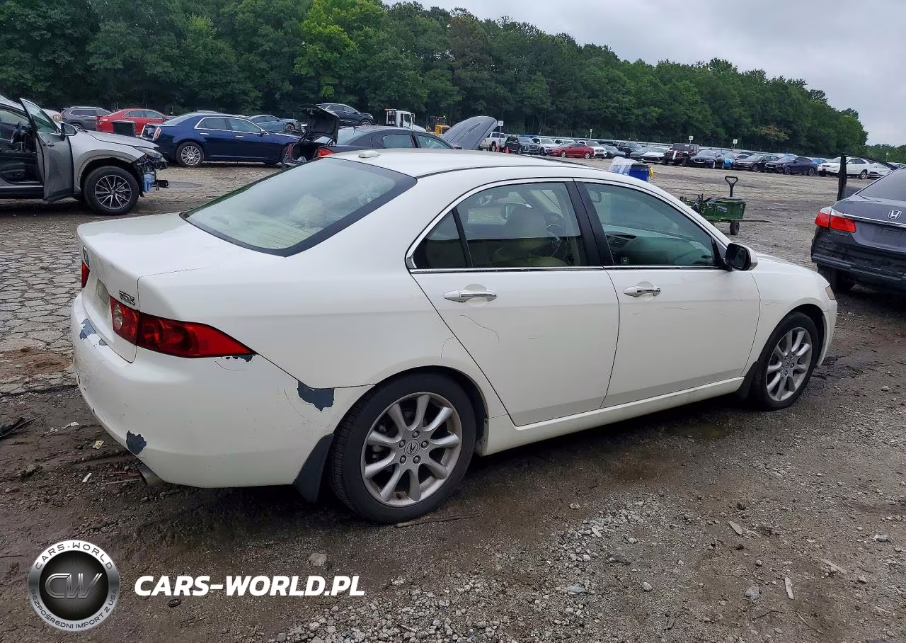 2005 Acura Tsx VIN:JH4CL96895C010486 - 3
