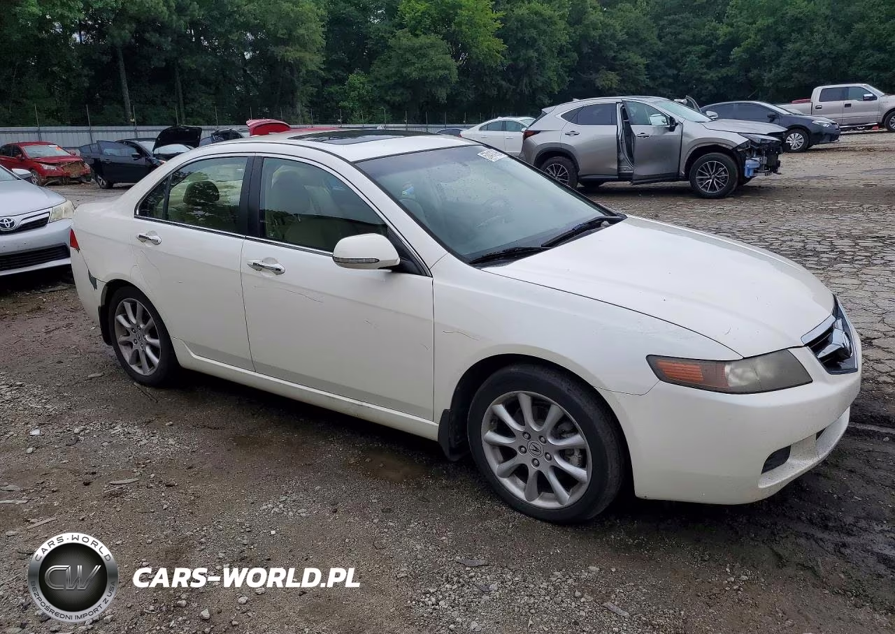2005 Acura Tsx VIN:JH4CL96895C010486 - 4