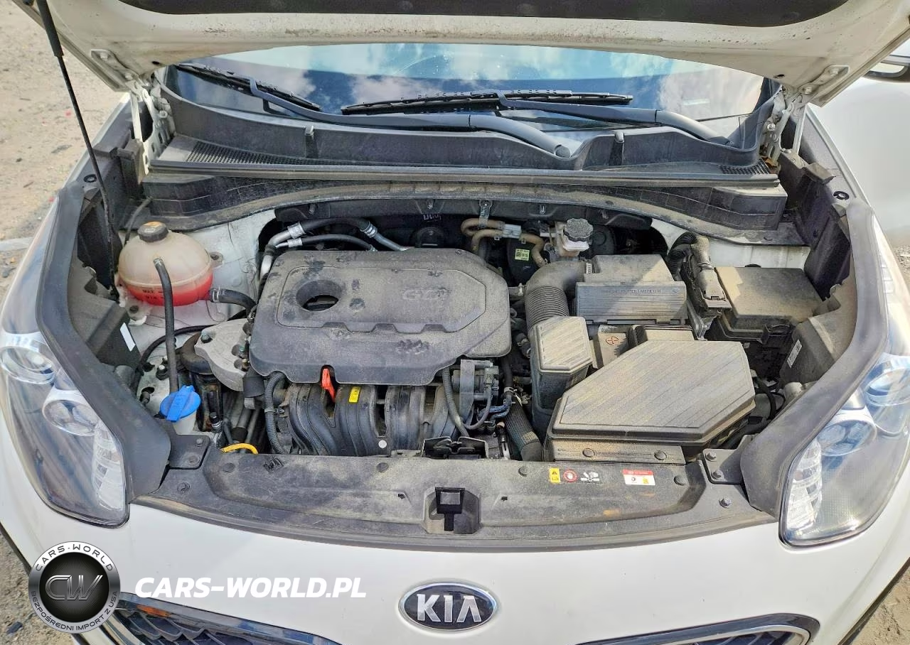 2022 Kia Sportage Lx VIN:KNDPM3AC1N7956406 - 12