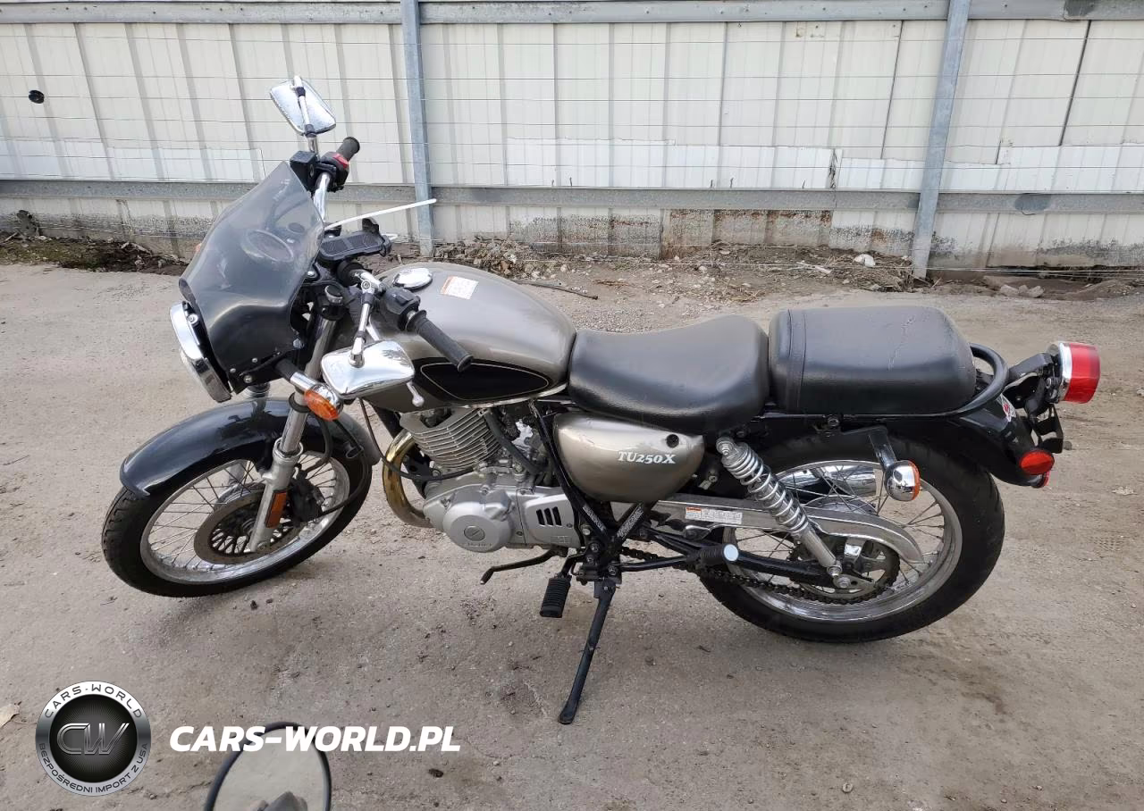 2011 Suzuki Tu250 X VIN:JS1NJ4CA5C2101116 - 3