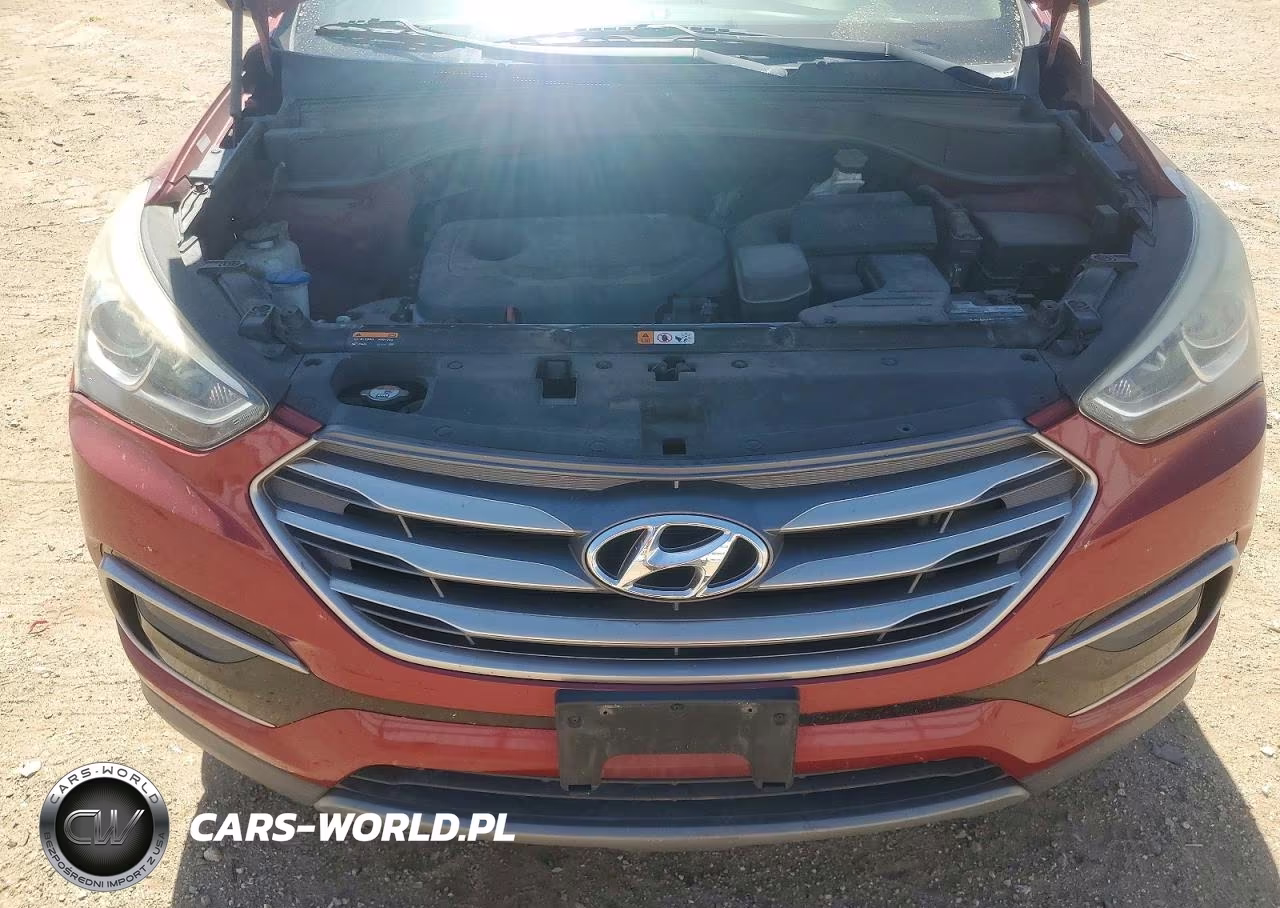 2017 Hyundai Santa Fe Sport 2.4L VIN:5XYZT3LB2HG495143 - 12