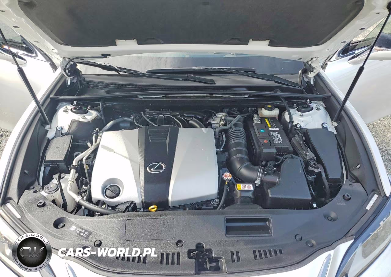 2019 Lexus Es 350 VIN:JTHBZ1B14K2004374 - 11