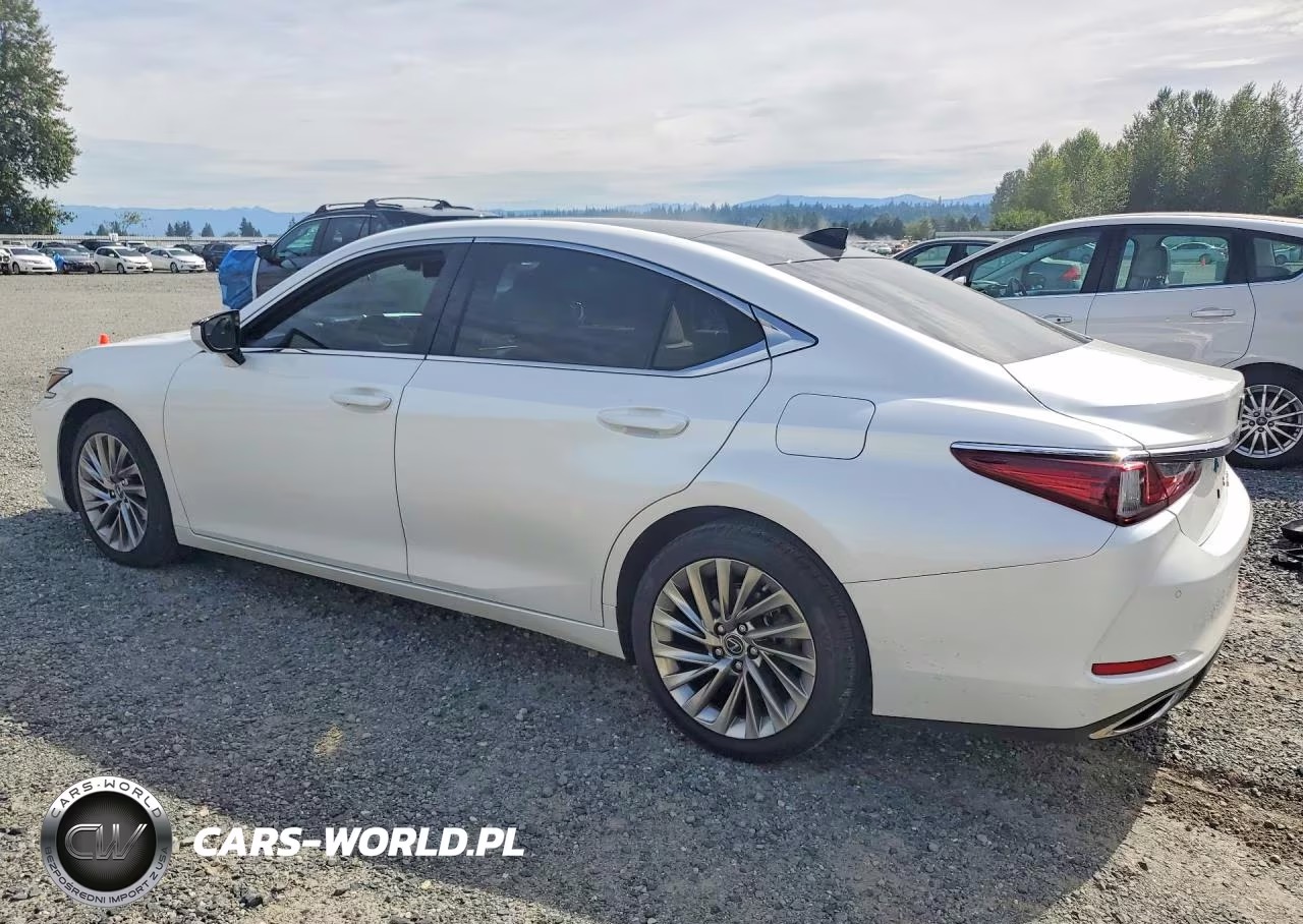 2019 Lexus Es 350 VIN:JTHBZ1B14K2004374 - 2