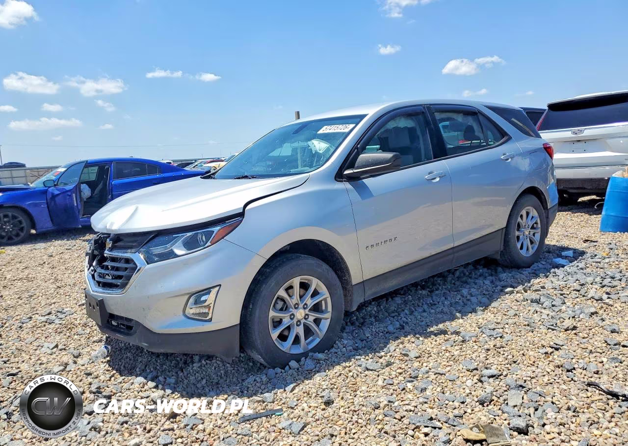 2019 Chevrolet Equinox Ls VIN:3GNAXHEV1KL229738 - 1