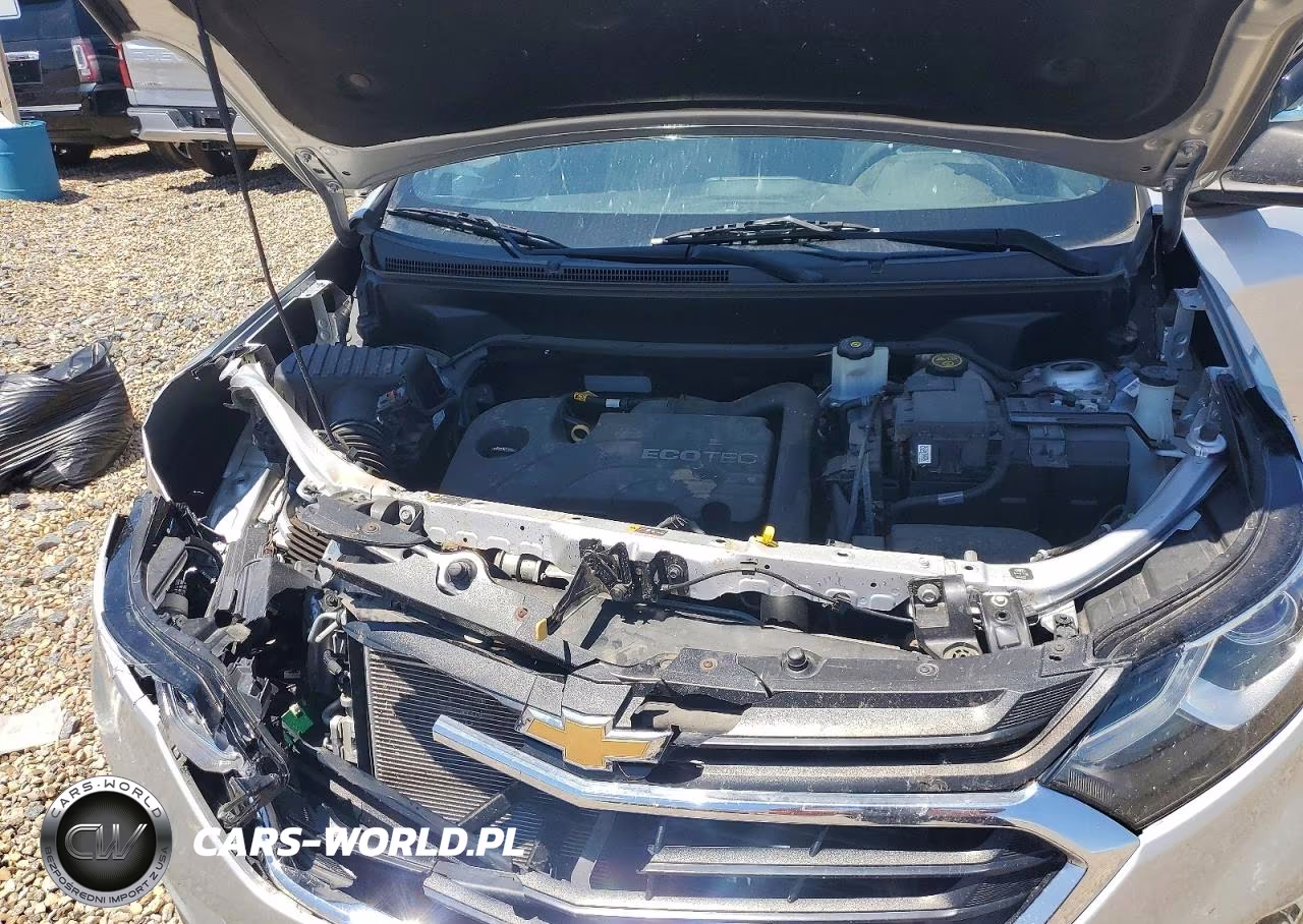 2019 Chevrolet Equinox Ls VIN:3GNAXHEV1KL229738 - 12